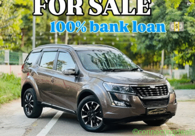 image_2025-11-22_150431298