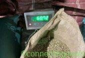 Quality Arabica Coffee Beans From Kenya for Export