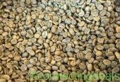 Quality Arabica Coffee Beans From Kenya for Export