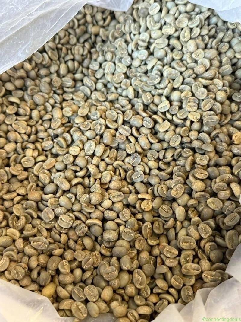 Quality Arabica Coffee Beans From Kenya for Export