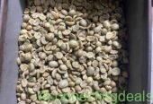 Quality Arabica Coffee Beans From Kenya for Export