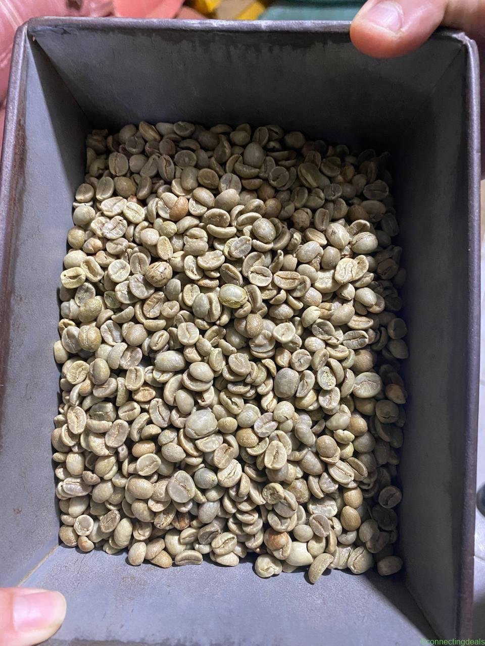 Quality Arabica Coffee Beans From Kenya for Export