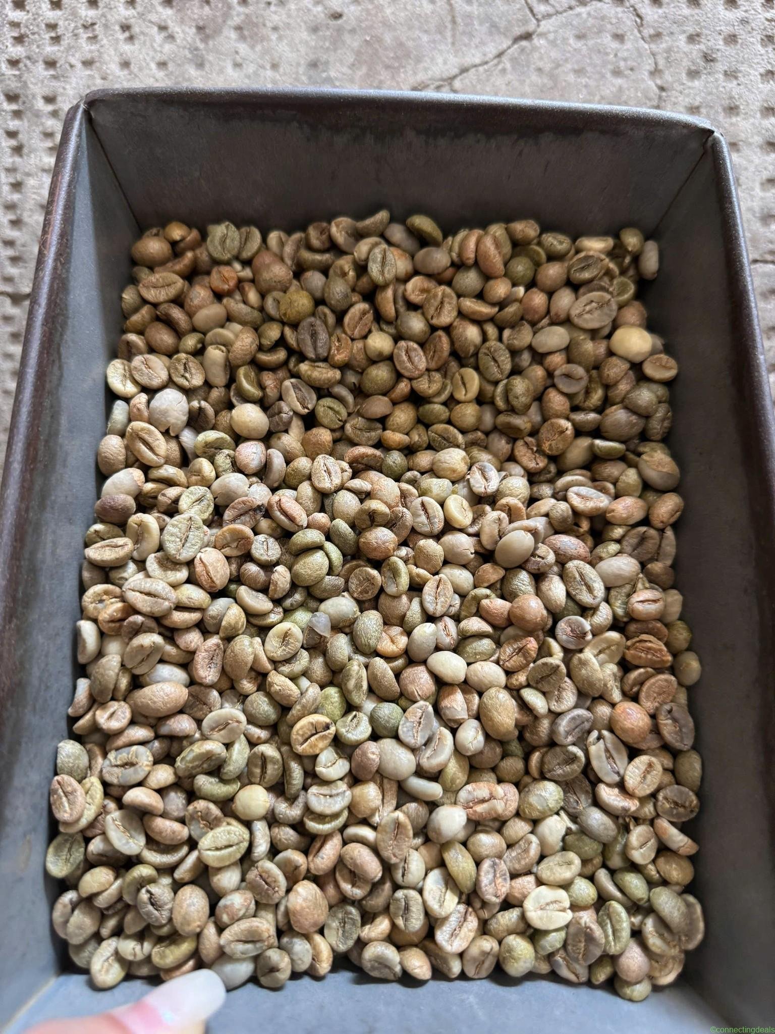 Quality Arabica Coffee Beans From Kenya for Export