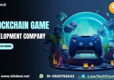 BLOCKCHAIN-GAME-DEVELOPMENT-COMPANY-2