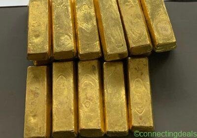 WhatsApp-Image-2025-03-17-at-11.08.51-AM