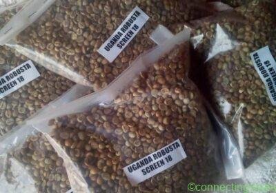 WhatsApp-Image-2026-01-23-at-14.48.35