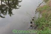 Riverside Eco Resort Land for Sale