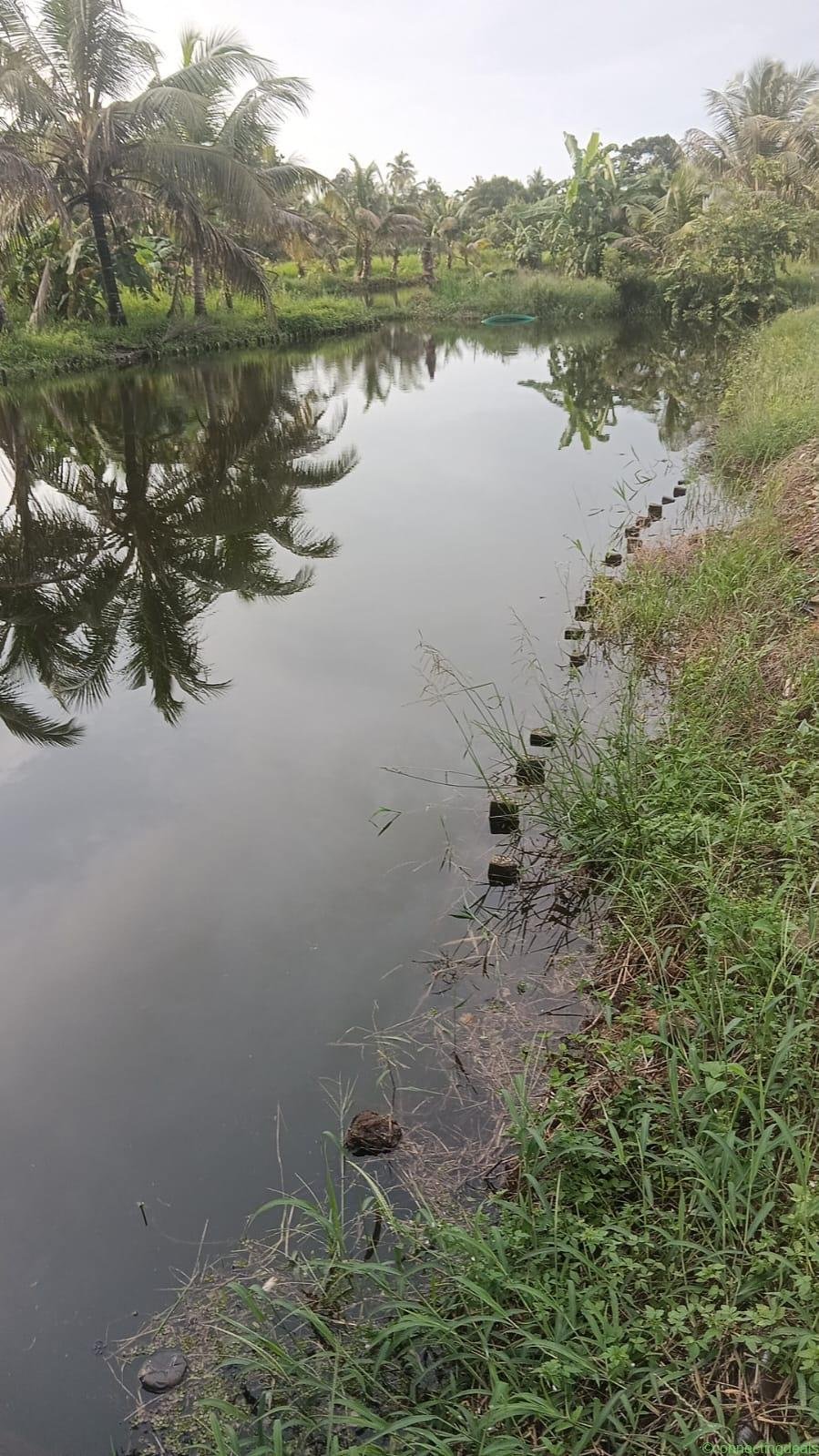 Riverside Eco Resort Land for Sale