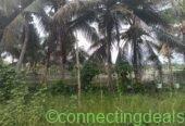 Riverside Eco Resort Land for Sale