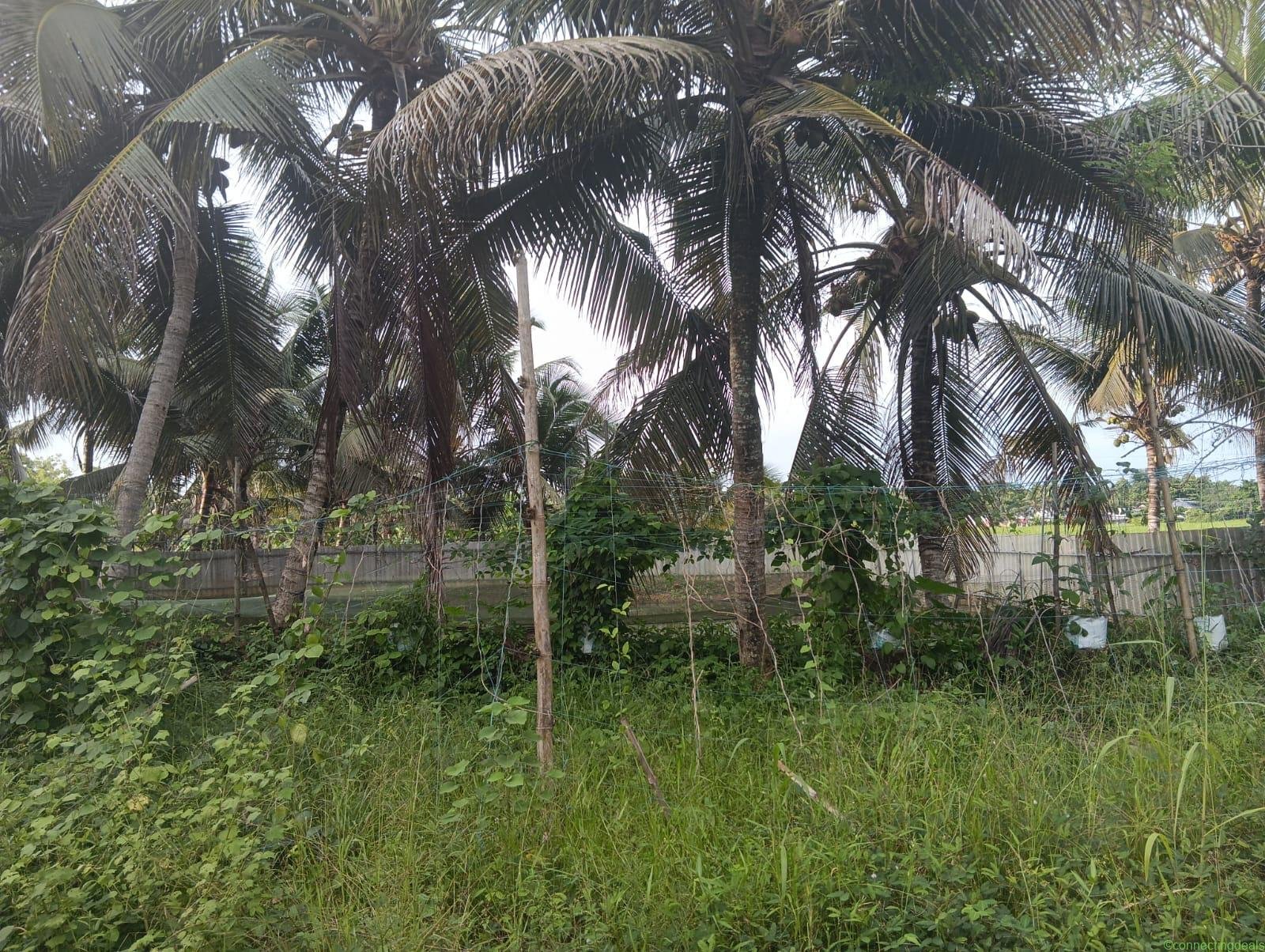Riverside Eco Resort Land for Sale