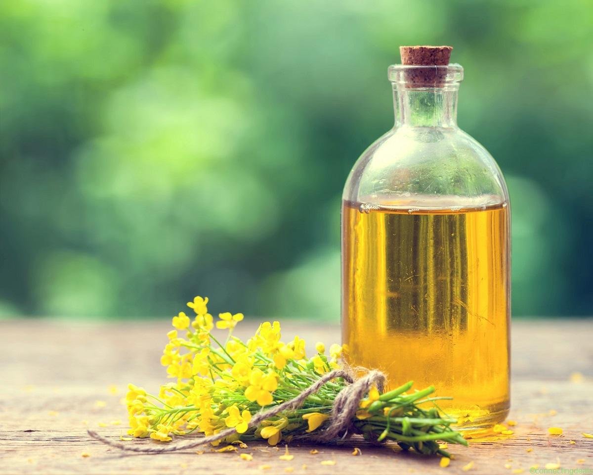 Repaseed Oil – Refined and unrefined oil