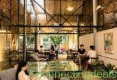 Discover The Best Quiet Places Cafes in Hanoi