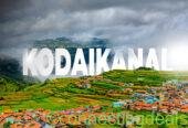 Top Choice for Cottages Kodaikanal for Group Stay