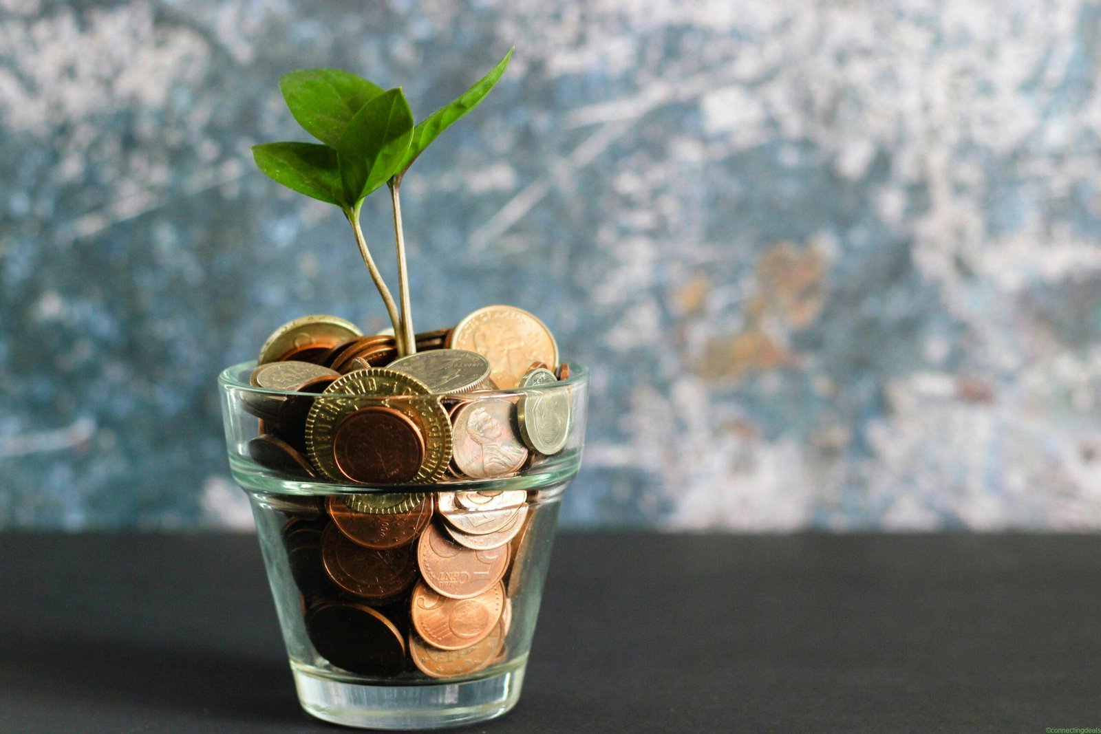 investeerimisfondid teie projekti elluviimiseks
