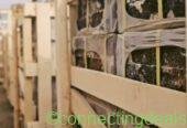 Travertine onyx marble tiles