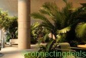 Dubai Office | Guaranteed ROI | 7% for 10 Years