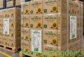 Bulk sunflower oil wholesale suppliers Tanzania